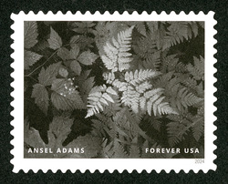 Leaves - Mount Rainier National Park - 1942 United States Postage Stamp | Ansel Adams