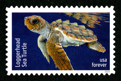 Loggerhead Sea Turtle United States Postage Stamp | Protect Sea Turtles