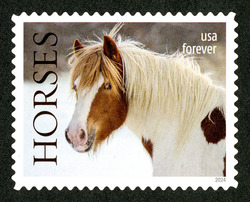 Horse With Brown Spots - Facing Left United States Postage Stamp | Horses