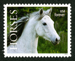 Half-Arabian Horse - Facing Right United States Postage Stamp | Horses
