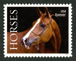 Brown Horse With Bridle - Facing Left United States Postage Stamp | Horses