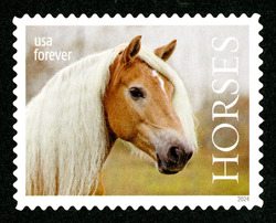 Horse With Long White Mane - Facing Right United States Postage Stamp | Horses