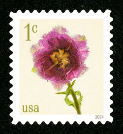 Fringed Tulip United States Postage Stamp