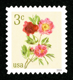 Peonies United States Postage Stamp