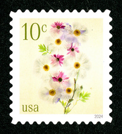 Poppies And Coneflowers United States Postage Stamp