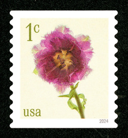 Fringed Tulip - Horizontal Imperforate United States Postage Stamp