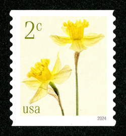 Daffodils - Horizontal Imperforate United States Postage Stamp