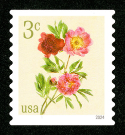 Peonies - Horizontal Imperforate United States Postage Stamp