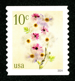 Poppies And Coneflowers - Horizontal Imperforate United States Postage Stamp