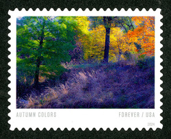 Trees - Purple Shadow at Lower Right United States Postage Stamp | Autumn Colors