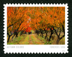 Trees Covering Wagon Path United States Postage Stamp | Autumn Colors