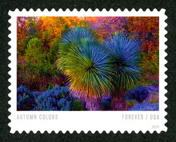 Trees With Blue And Purple Shadows United States Postage Stamp | Autumn Colors