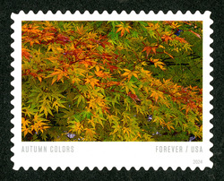 Tree With Brown And Green Leaves United States Postage Stamp | Autumn Colors