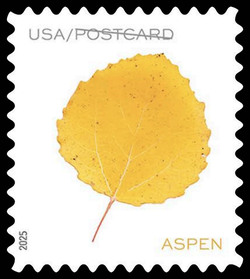 Yellow Aspen Leaf - Postcard Rate United States Postage Stamp | Vibrant Leaves