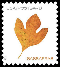 Orange Sassafras Leaf - Postcard Rate - Horizontal Imperforate United States Postage Stamp | Vibrant Leaves