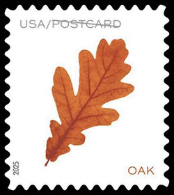 Orange Oak Leaf - Postcard Rate - Horizontal Imperforate United States Postage Stamp | Vibrant Leaves