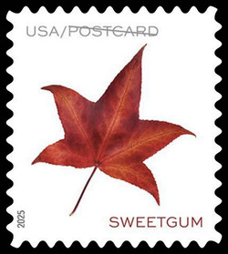 Red Sweetgum Leaf - Postcard Rate - Horizontal Imperforate United States Postage Stamp | Vibrant Leaves