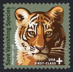 Save Vanishing Species - Amur Tiger Cub - First-Class United States Postage Stamp
