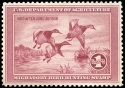 Canvasbacks - Red - Void After June 30, 1936 United States Postage Stamp | Migratory Bird Hunting - Duck Stamp - Department of Agriculture