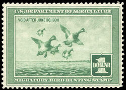Scaup Ducks - Green - Void After June 30, 1938 United States Postage Stamp | Migratory Bird Hunting - Duck Stamp - Department of Agriculture