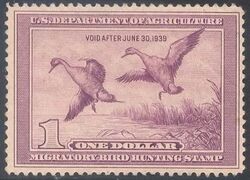 Pintail Ducks - Purple - Void After June 30, 1939 United States Postage Stamp | Migratory Bird Hunting - Duck Stamp - Department of Agriculture