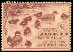 Ruddy Ducks - Brown - Void After June 30, 1942 United States Postage Stamp | Migratory Bird Hunting - Duck Stamp - Department of Agriculture