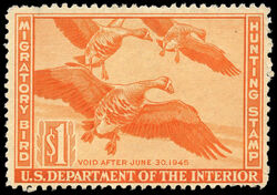White Fronted Geese - Orange - Void After June 30, 1945 United States Postage Stamp | Migratory Bird Hunting - Duck Stamp - Department of Agriculture
