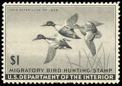 Shoveller Ducks - Black - Void After June 30, 1946 United States Postage Stamp | Migratory Bird Hunting - Duck Stamp - Department of Agriculture