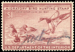 Redhead Ducks - Brown - Void After June 30, 1947 United States Postage Stamp | Migratory Bird Hunting - Duck Stamp - Department of Agriculture