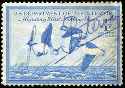 Buffleheads - Blue - Void After June 30, 1949 United States Postage Stamp | Migratory Bird Hunting - Duck Stamp - Department of Agriculture