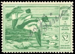 Goldeneye Ducks - Green - Void After June 30, 1950 United States Postage Stamp | Migratory Bird Hunting - Duck Stamp - Department of Agriculture
