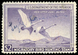 Trumpeter Swans - Purple - Void After June 30, 1951 United States Postage Stamp | Migratory Bird Hunting - Duck Stamp - Department of Agriculture