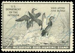 Gadwall Ducks - Black - Void After June 30, 1952 United States Postage Stamp | Migratory Bird Hunting - Duck Stamp - Department of Agriculture