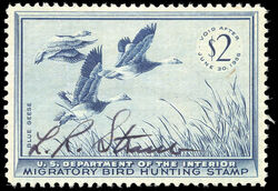 Blue Geese - Blue - Void After June 30, 1956 United States Postage Stamp | Migratory Bird Hunting - Duck Stamp - Department of Agriculture