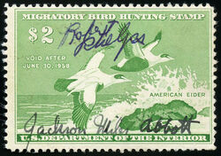 American Eiders - Green - Void After June 30, 1958 United States Postage Stamp | Migratory Bird Hunting - Duck Stamp - Department of Agriculture