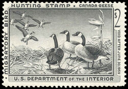 Canada Geese - Black - Void After June 30, 1959 United States Postage Stamp | Migratory Bird Hunting - Duck Stamp - Department of Agriculture