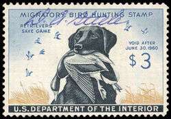 Retrievers Save Game - Mallard - Void After June 30, 1960 United States Postage Stamp | Migratory Bird Hunting - Duck Stamp - Department of Agriculture
