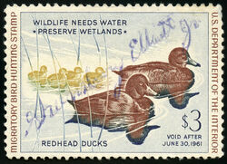 Redhead Ducks - Void After June 30, 1961 United States Postage Stamp | Migratory Bird Hunting - Duck Stamp - Department of Agriculture