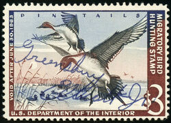 Pin Tails - Void After June 30, 1963 United States Postage Stamp | Migratory Bird Hunting and Conservation - Duck Stamp - US Department of the Interior