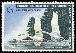 Whistling Swans - Void After June 30, 1967 United States Postage Stamp | Migratory Bird Hunting - Duck Stamp - Department of Agriculture