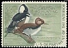 Hooded Mergansers - Void After June 30, 1969 United States Postage Stamp | Migratory Bird Hunting - Duck Stamp - Department of Agriculture