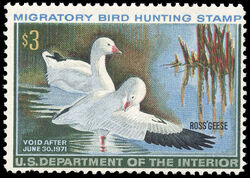 Ross' Geese - Void After June 30, 1971 United States Postage Stamp | Migratory Bird Hunting - Duck Stamp - Department of Agriculture