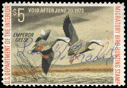 Emperor Geese - Void After June 30, 1973 United States Postage Stamp | Migratory Bird Hunting - Duck Stamp - Department of Agriculture