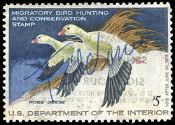 Ross' Geese - Void After June 30, 1978 United States Postage Stamp | Migratory Bird Hunting - Duck Stamp - Department of Agriculture