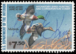 Mallards - Void After June 30, 1981 United States Postage Stamp | Migratory Bird Hunting - Duck Stamp - Department of Agriculture