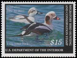 Long-tailed Duck - Void After June 30, 2010 United States Postage Stamp | Migratory Bird Hunting - Duck Stamp - Department of Agriculture