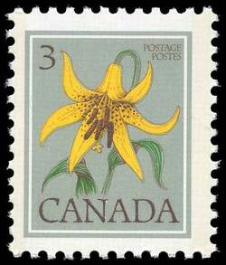 Canada Lily, Lilium Canadense - DF / LF Canada Postage Stamp