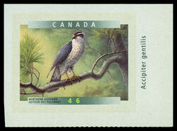 Northern Goshawk (Accipiter Gentilis) - SA Canada Postage Stamp | Birds of Canada