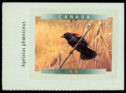 Red-winged Blackbird (Agelaius Phoenicus) - SA Canada Postage Stamp | Birds of Canada
