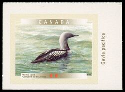 Pacific Loon - SA Canada Postage Stamp | Birds of Canada